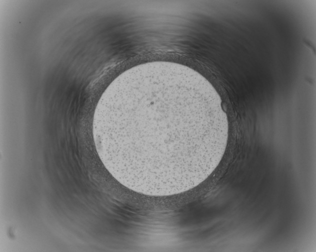 X0000103470687200810241014
