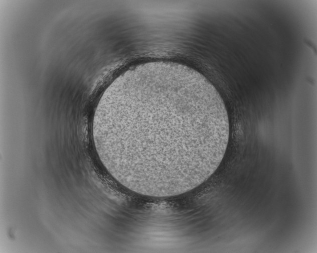 X0000103470688200810241014