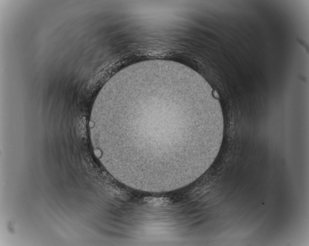 X0000103470689200810241014