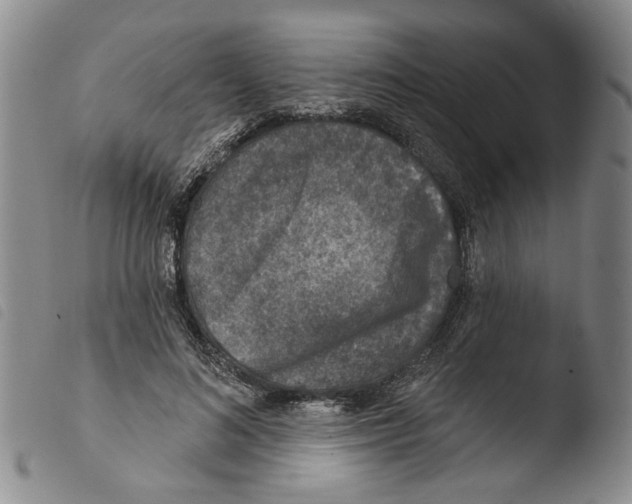 X0000103470692200810241014