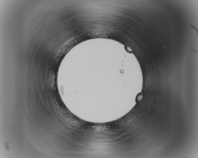 X0000103470693200810241014