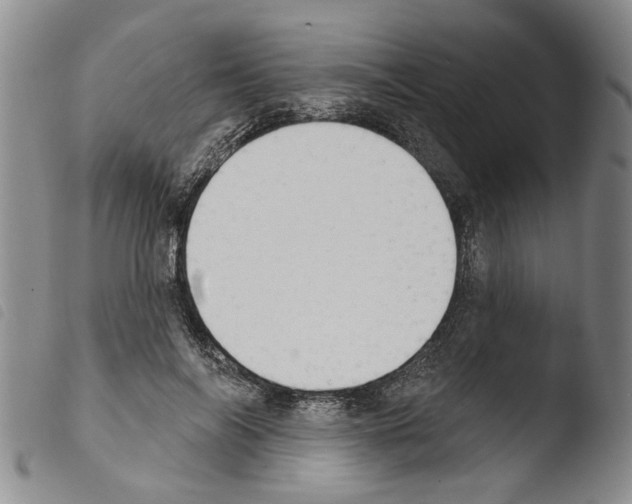 X0000103470694200810241014