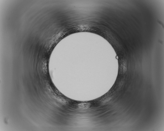 X0000103470700200810241014
