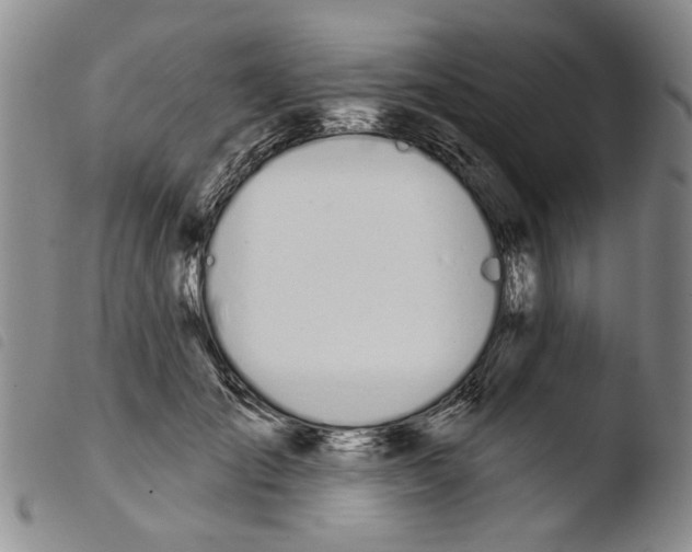 X0000103470701200810241014