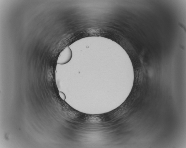 X0000103470702200810241014