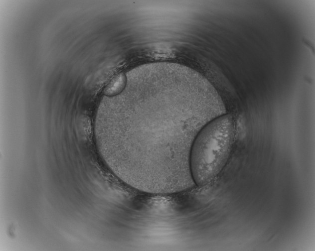 X0000103470704200810241014