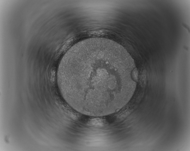 X0000103470708200810241014