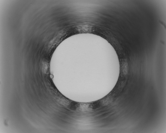 X0000103470709200810241014