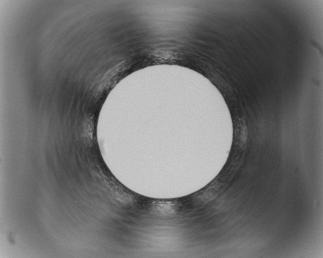 X0000103470710200810241014