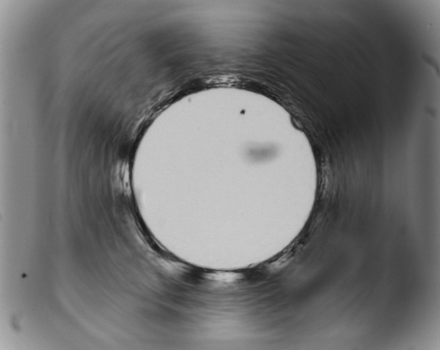 X0000103470711200810241014