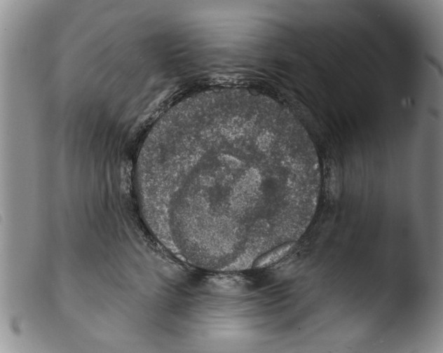 X0000103470712200810241014