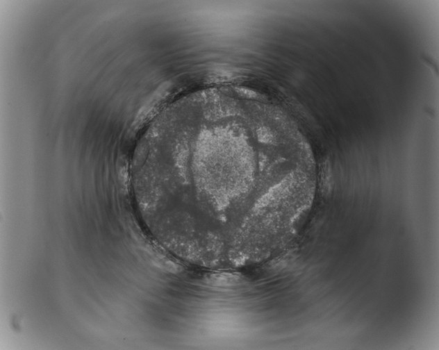 X0000103470716200810241014