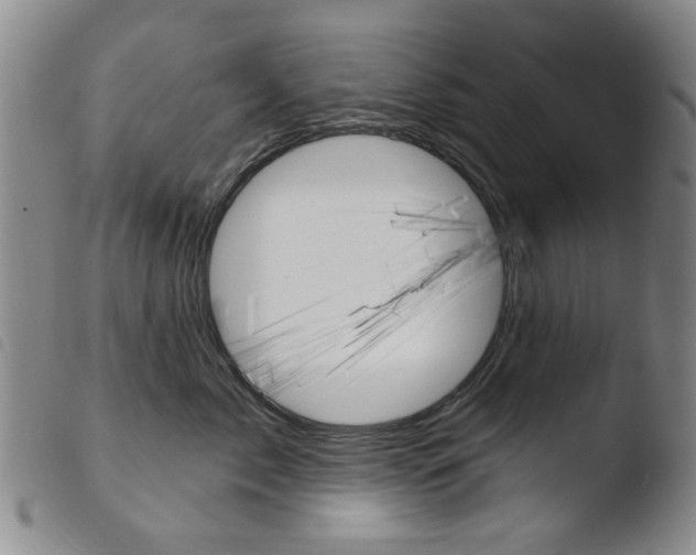 X0000103470717200810241014