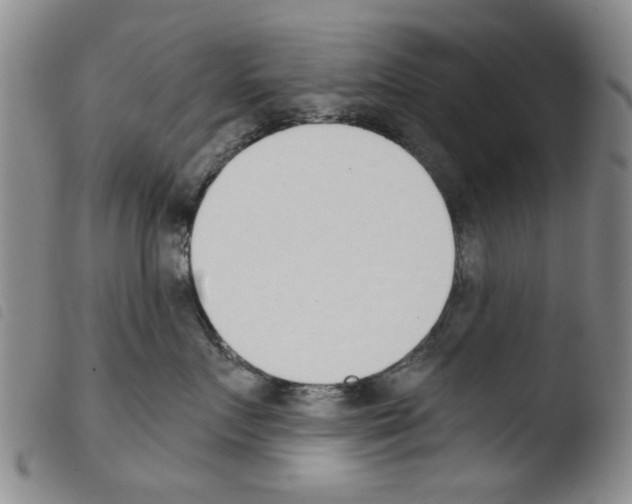 X0000103470719200810241014