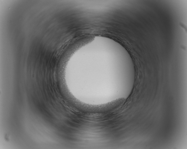 X0000103470720200810241014