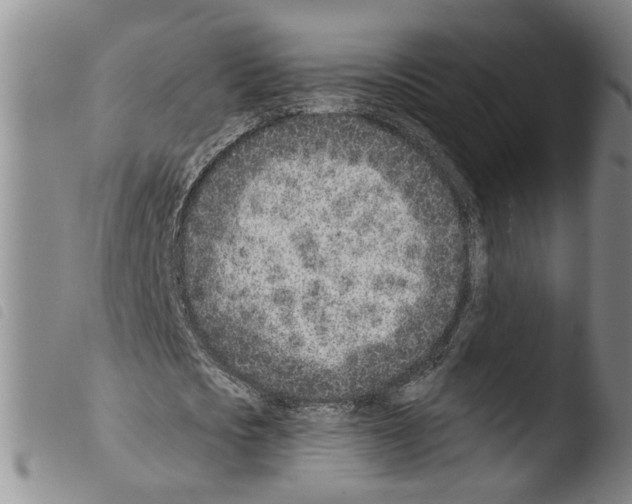 X0000103470721200810241013