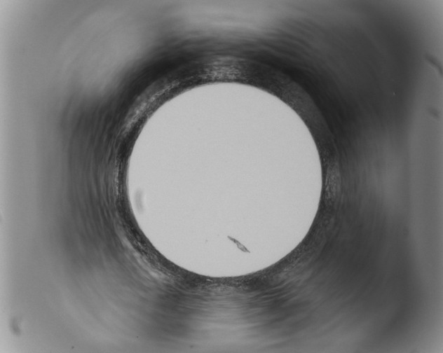 X0000103470722200810241013