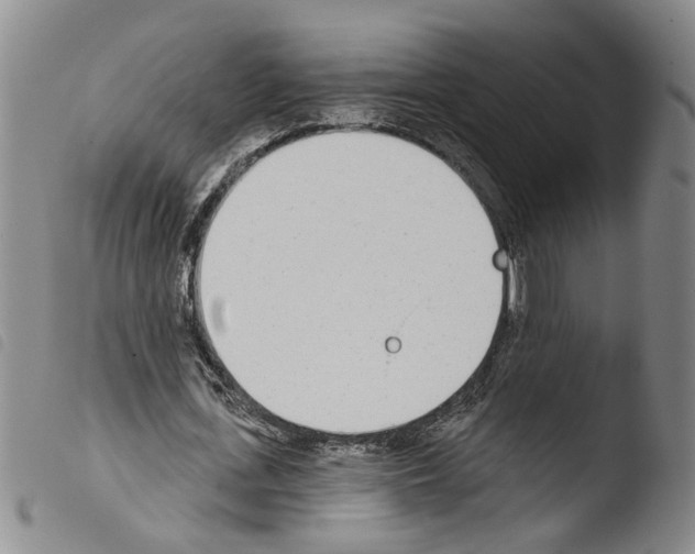 X0000103470723200810241013