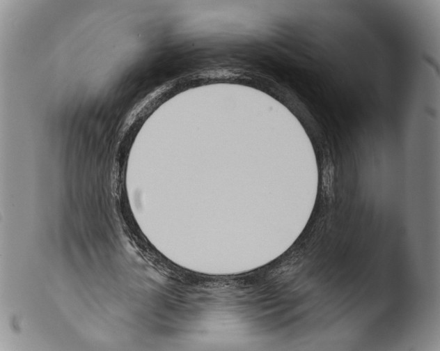 X0000103470724200810241013