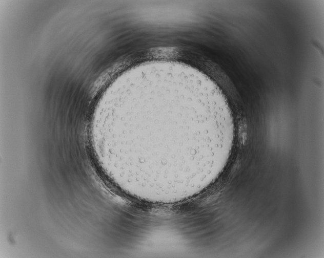 X0000103470725200810241013