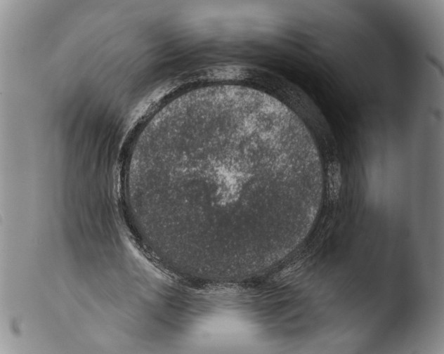 X0000103470726200810241013