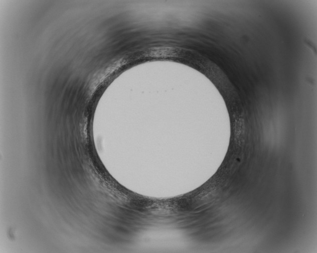 X0000103470727200810241013