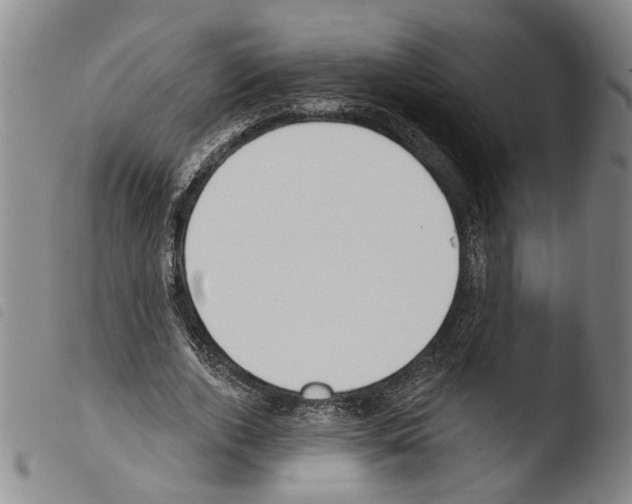 X0000103470728200810241013