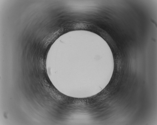 X0000103470729200810241013