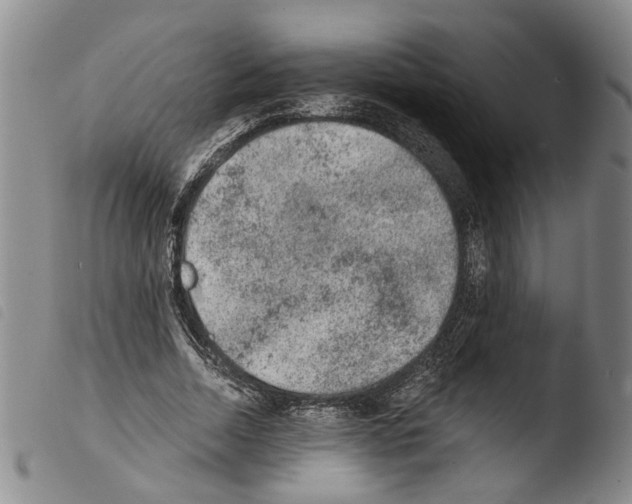 X0000103470730200810241013