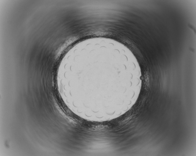X0000103470734200810241013