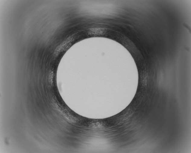 X0000103470735200810241013