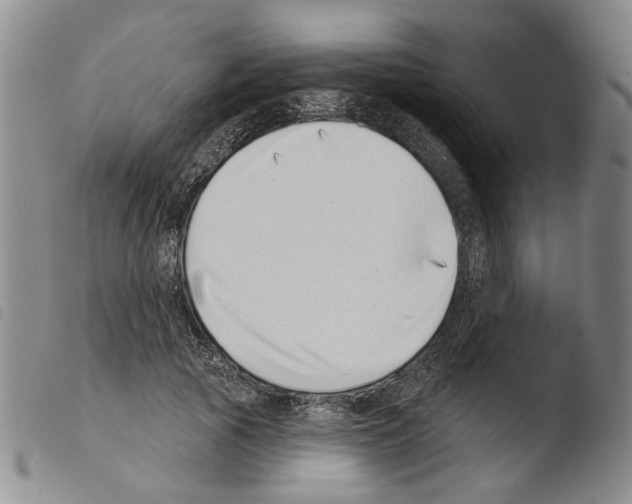 X0000103470737200810241013
