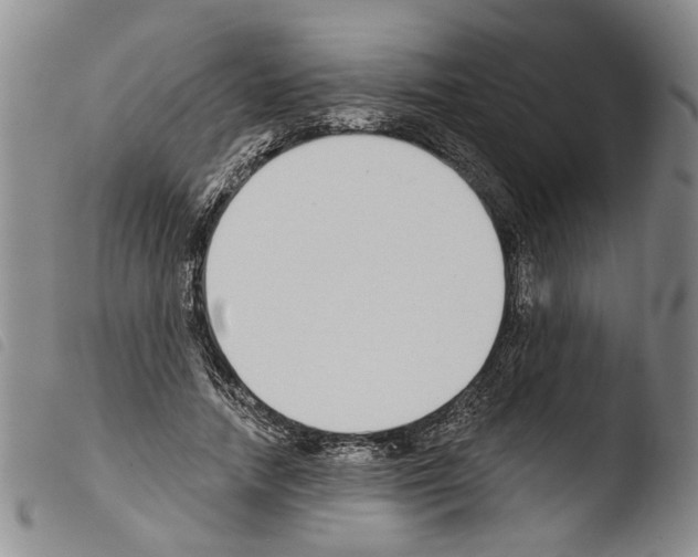 X0000103470738200810241013