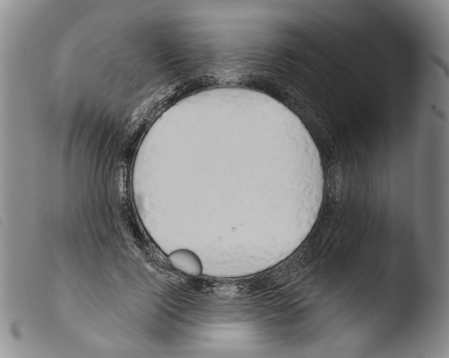 X0000103470740200810241013
