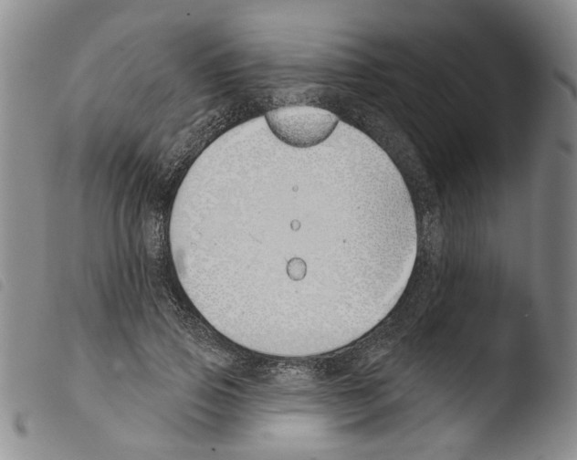 X0000103470741200810241013