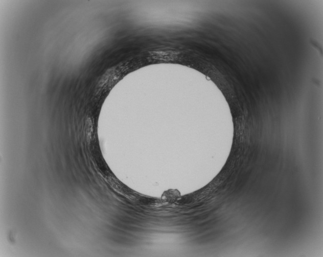 X0000103470752200810241013
