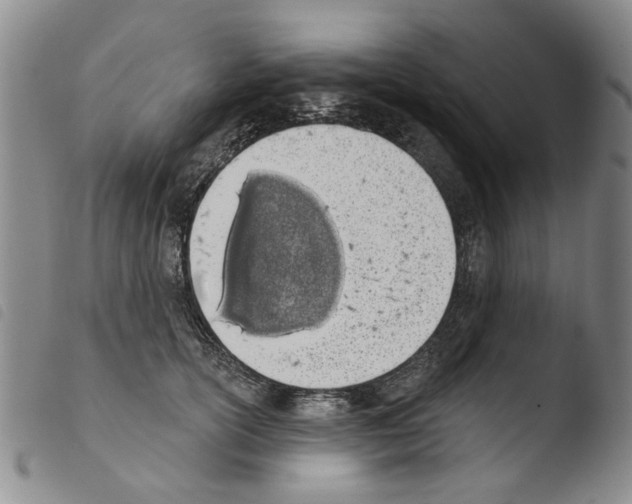 X0000103470754200810241013
