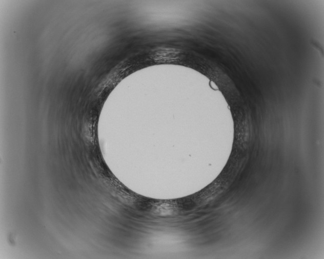 X0000103470755200810241013
