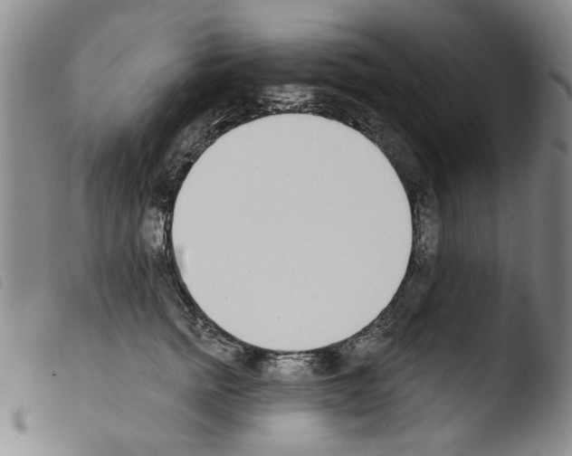 X0000103470758200810241013