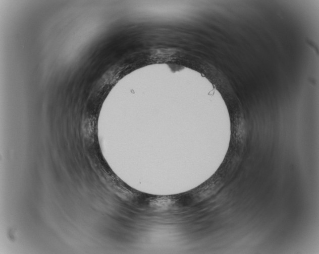 X0000103470759200810241013