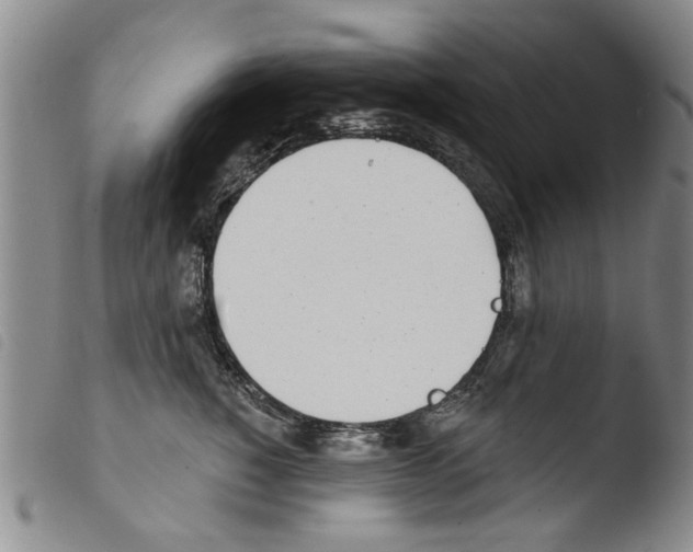 X0000103470760200810241013