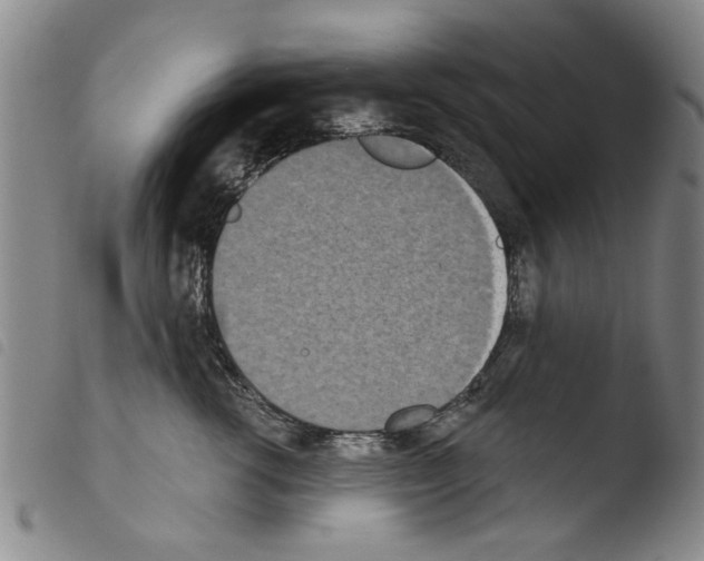 X0000103470762200810241013