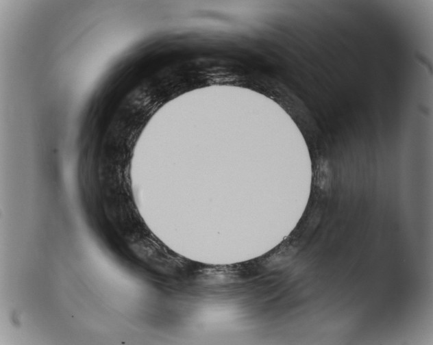 X0000103470763200810241013