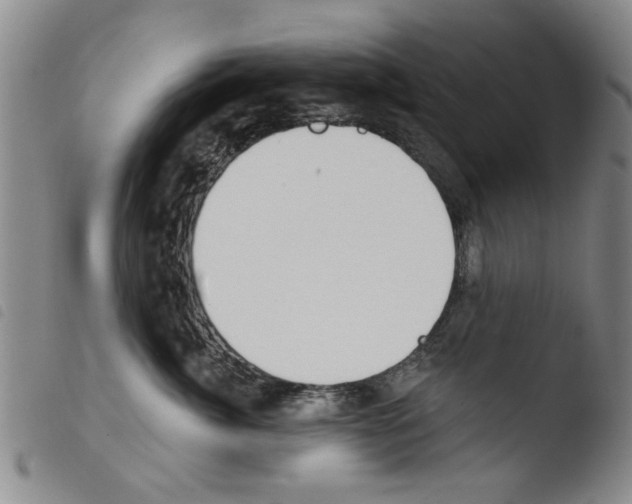X0000103470764200810241013