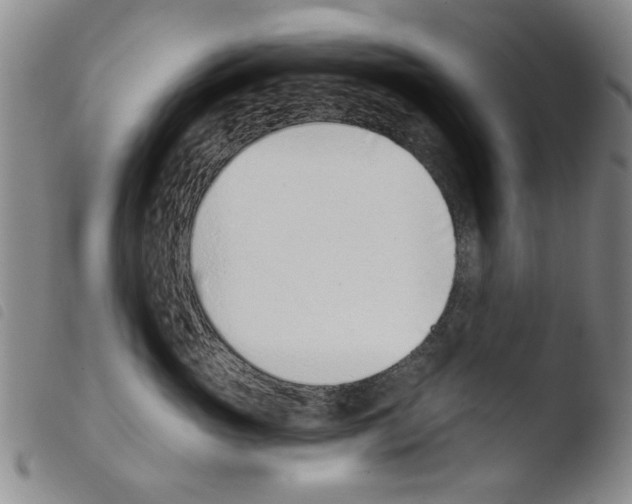 X0000103470765200810241013