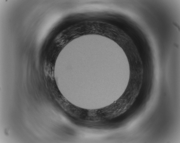 X0000103470766200810241013