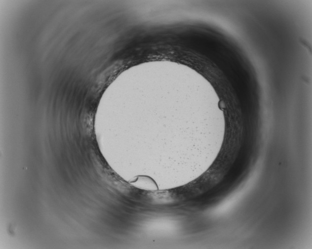 X0000103470767200810241014