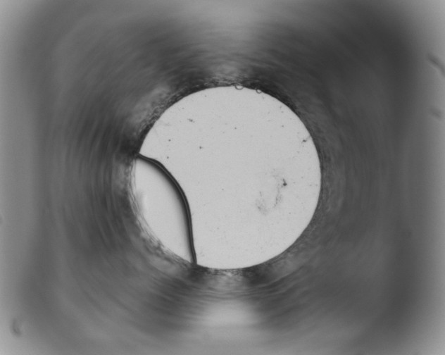 X0000103470768200810241014