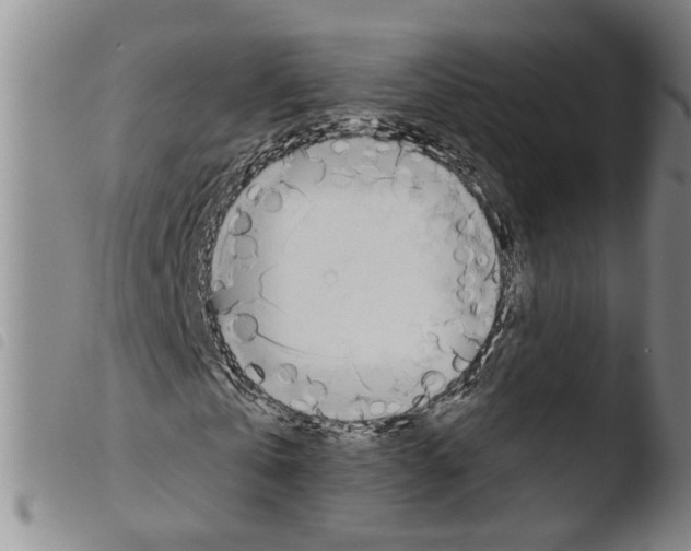 X0000103470769200810241013