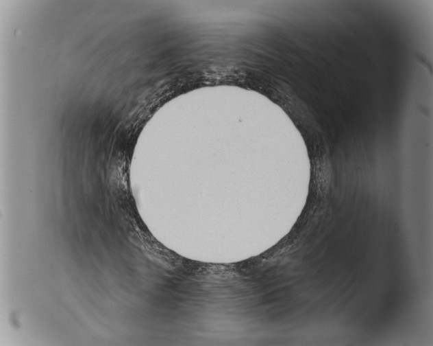 X0000103470770200810241013